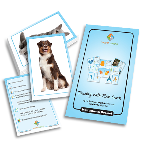 Click to view full image Teaching Common Pets: Building Early Language with Flashcards: image 1