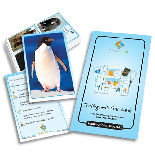 Click to view full image Teaching Common Animals: Building Early Language with Flashcards: image 1