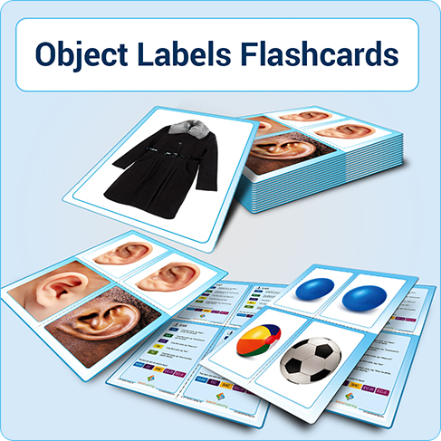 Click to view full image Teaching Object Labels: Building Early Language with Flashcards: image 1