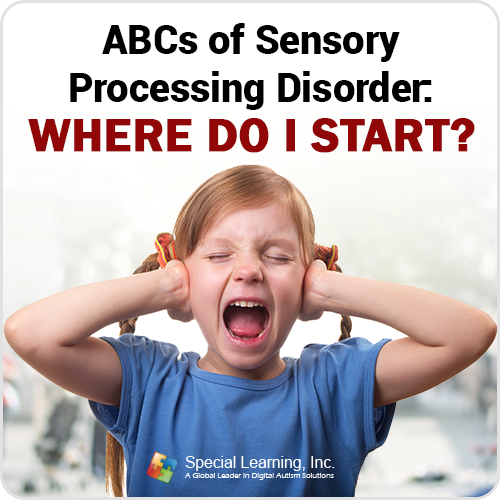 Click to view full image ABCs of Sensory Processing Disorder: Where Do I Start?: image 1