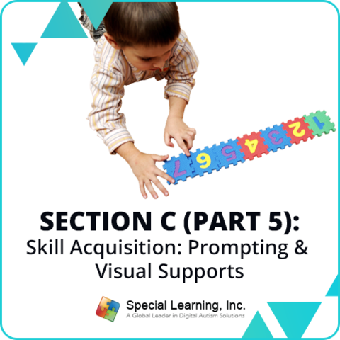 Click to view full image RBT® 2.0 40-Hour Online Training Course- Module 19: Section C (Part 5)- Skill Acquisition: Prompting and Visual Supports: image 1