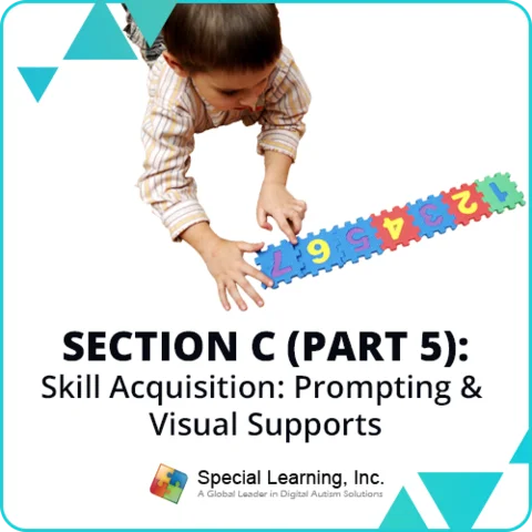 RBT® 2.0 40-hr Course Module 19:C- Skill Acquisition: Prompting/Visual Supports