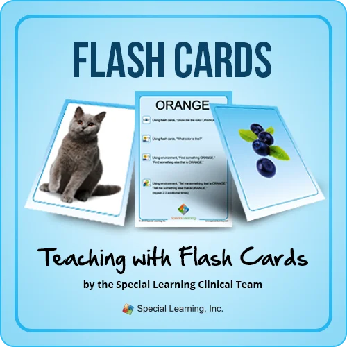 Flashcard Bundle